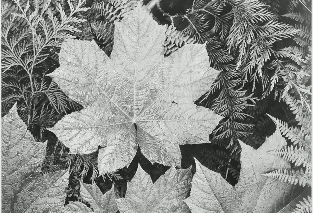 Data Broker Opt-Out Checklist visual