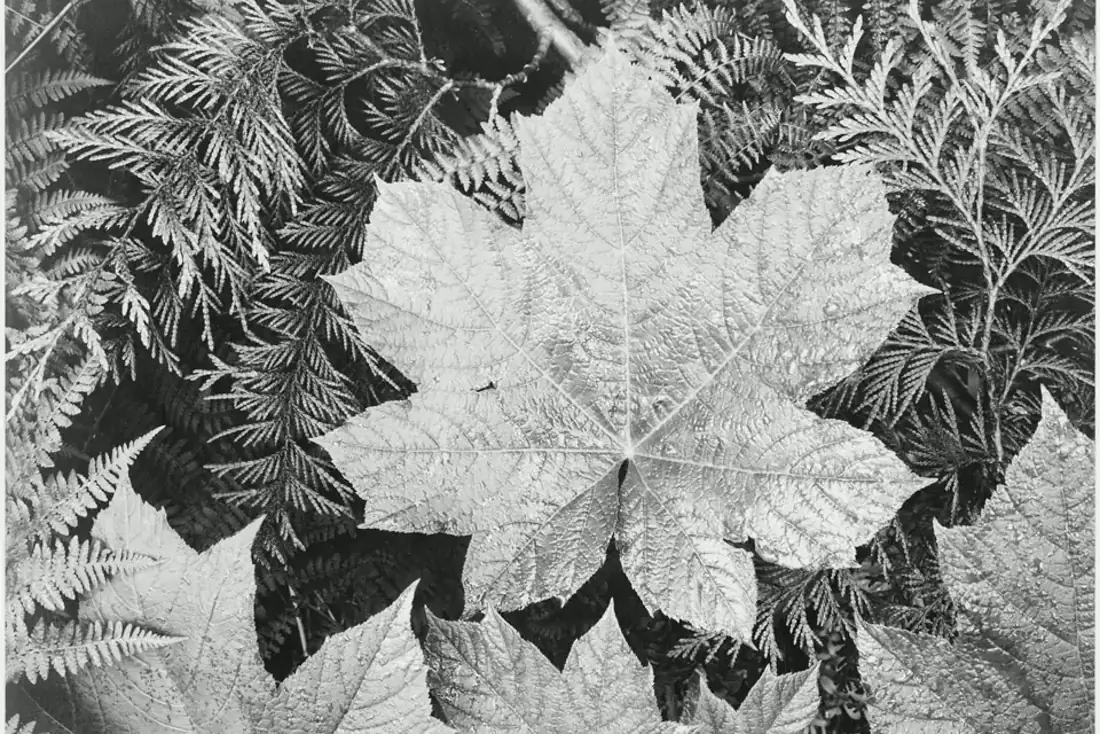 Why a Data Broker Opt-Out Is Not Working visual