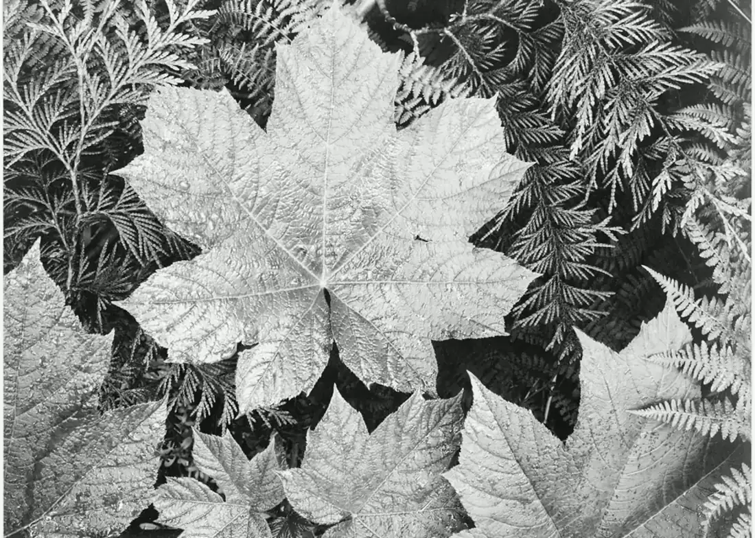 How Data Brokers Collect Information visual