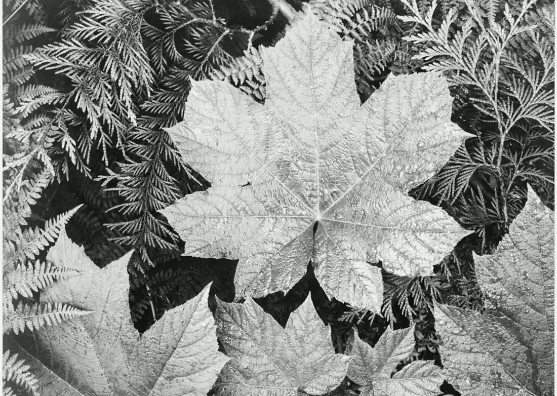 How to Remove Yourself from People Search Sites visual