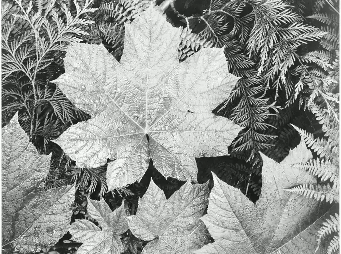 Personal Info Keeps Showing Online visual