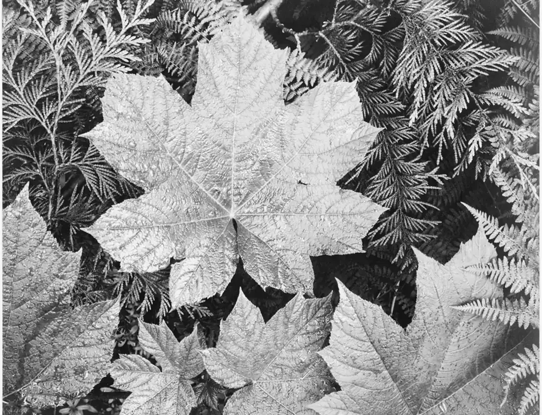 How Reverse Address Lookup Works visual