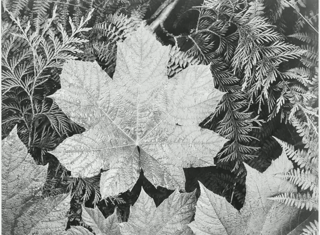 Reverse Address Lookup visual